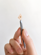 Focus Edit - Ear Seed Kit