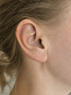 Focus Edit - Ear Seed Kit